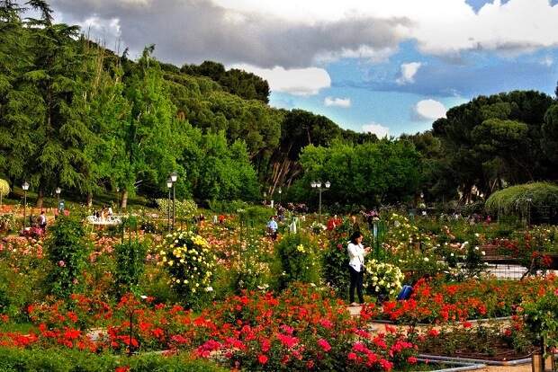 Parques de Madrid na Primavera