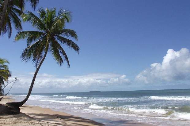 Melhores praias do Brasil: Barra Grande / Península de Maraú - Praia Taipus de Fora - Bahia