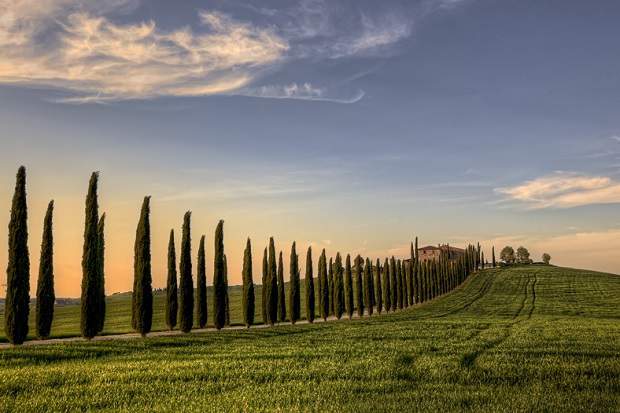 Roteiro Toscana 5 dias: o melhor da Itália!