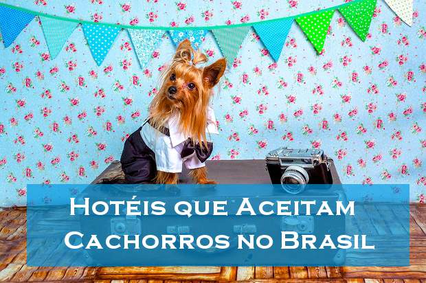 Hotéis que aceitam cachorros no Brasil!