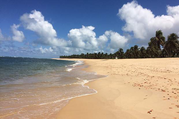 Praia do Gunga: cartão-postal de Alagoas!
