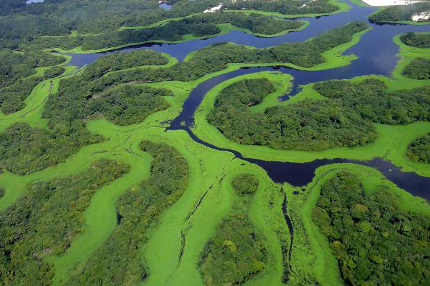 Pontos Turísticos de Manaus: Arquipélago de Anavilhanas 