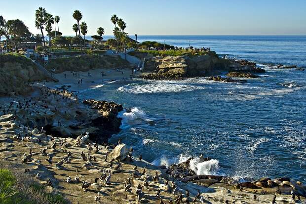 Onde ficar em San Diego, Califórnia? Melhores Bairros e Hotéis em San Diego!
