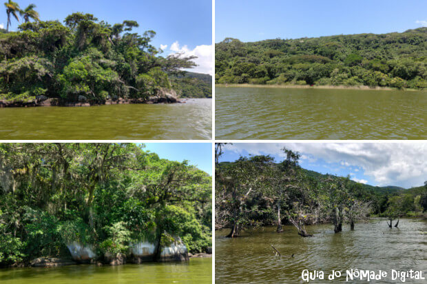 trilha da Gurita na Lagoa do Peri, Florianópolis