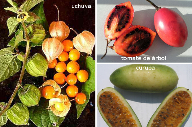 As frutas da Colômbia que você deve provar