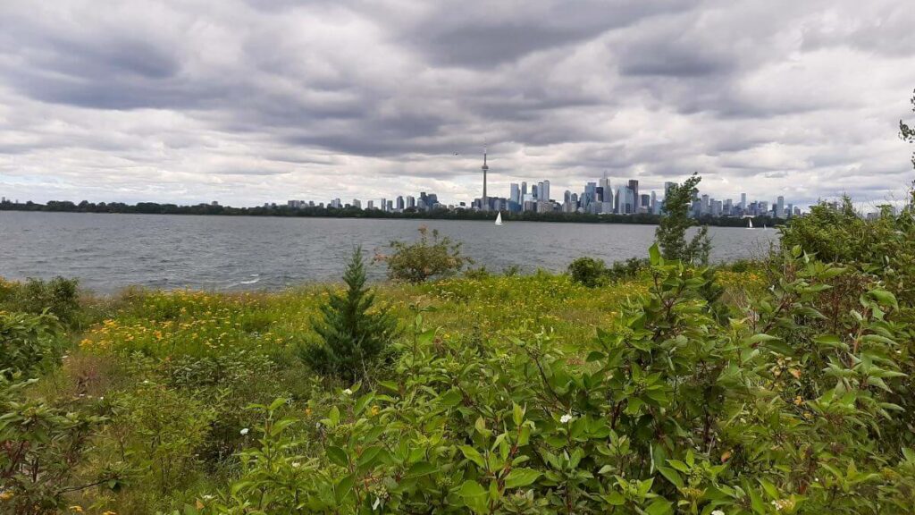 Passeio pelo Waterfront de Toronto: Martin Goodman Trail