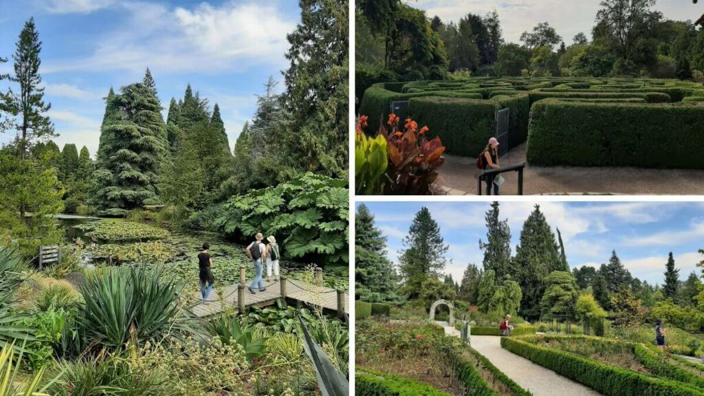 Passeio ao Jardim Botânico de Vancouver e Queen Elizabeth Park